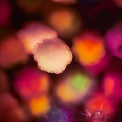 pink and orange graphic